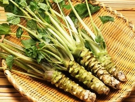 �c���鿴Ԕ��